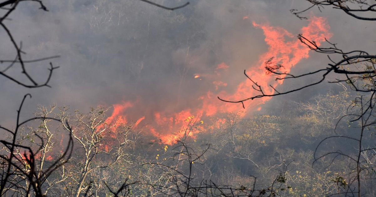 shushunia-hill-devastating-fire