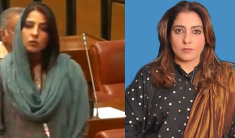 Pakistan Babri Masjid remark