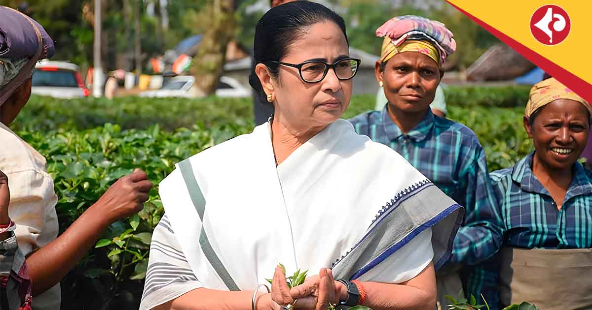 Mamata Banerjee Shares Video on World Environment Day, Urges "Save Green, Show Green"
