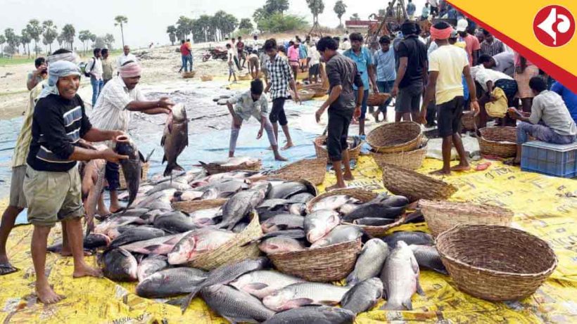 India Inland Fish Production