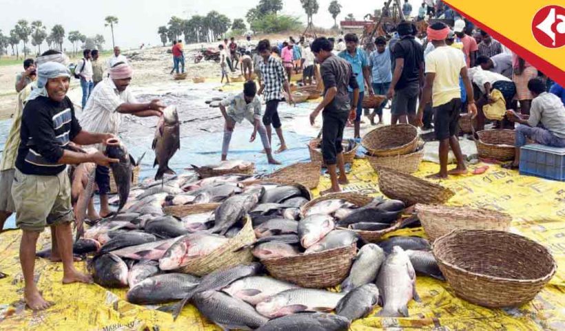 India Inland Fish Production