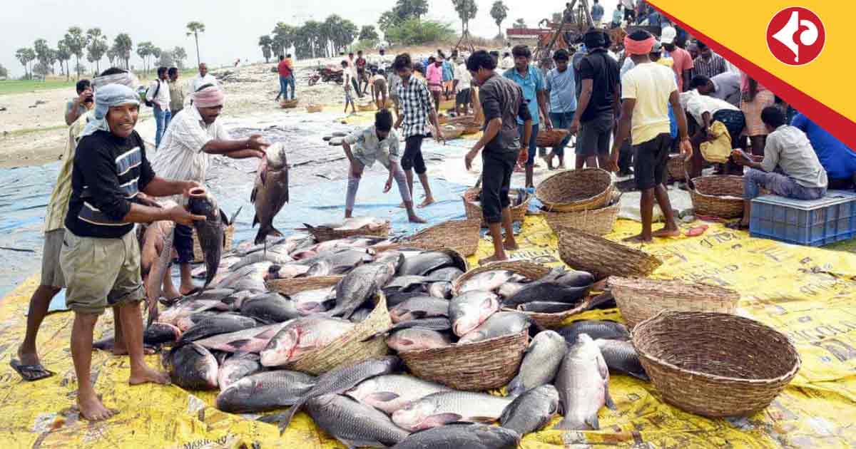 India Inland Fish Production