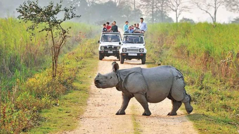 Eight National Parks to Stay Closed During Monsoon Season, West Bengal Directorate of Forests Issues Order