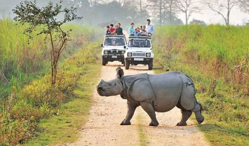 Kaziranga National Park