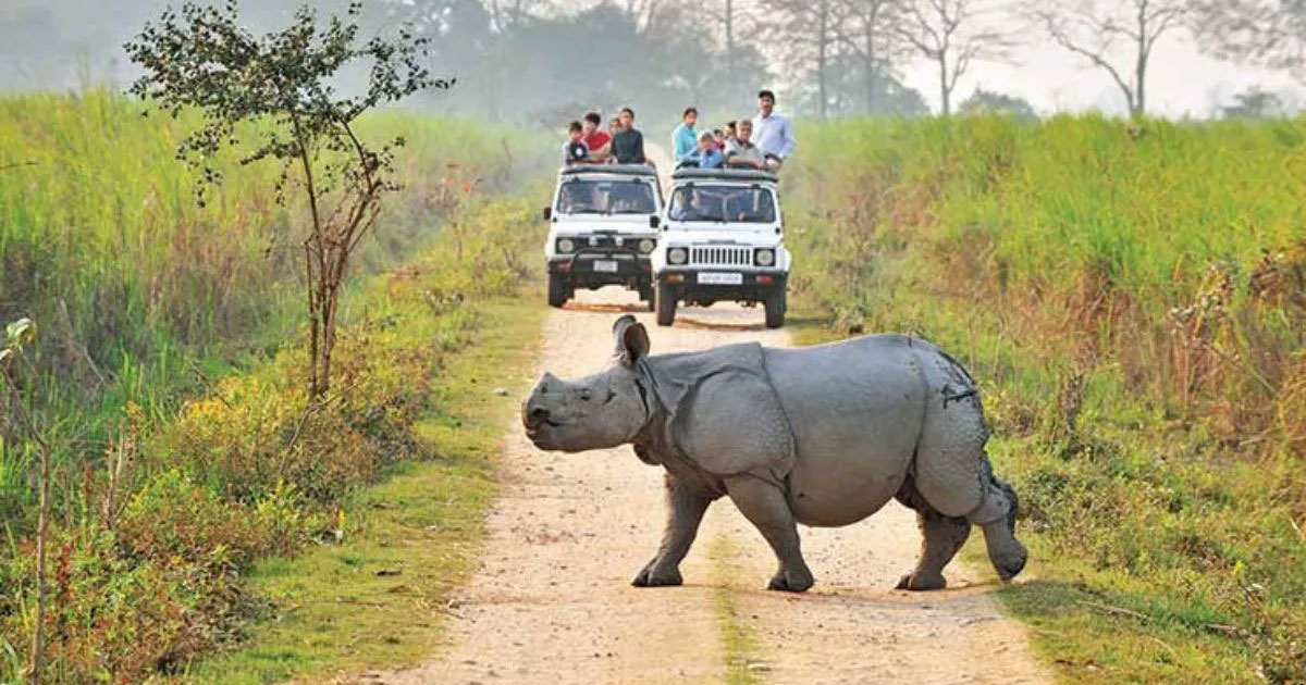 Kaziranga National Park
