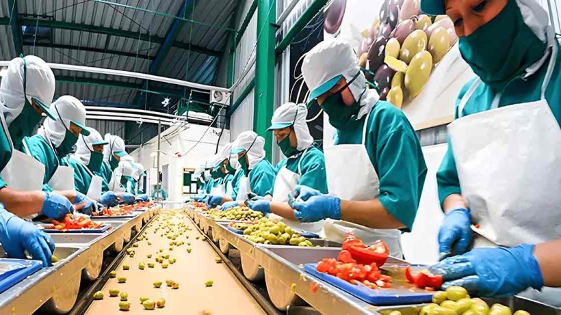 PLI Scheme Boosts India's Food Processing