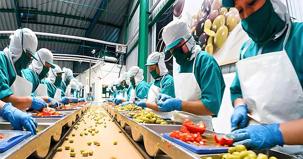 PLI Scheme Boosts India's Food Processing