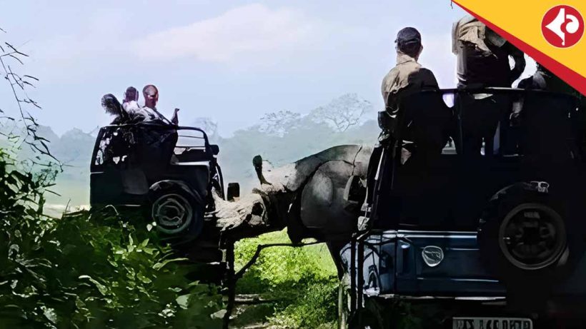 Rhino Charges at Tourists' Jeep in Assam's Manas National Park, Sparks Viral Video