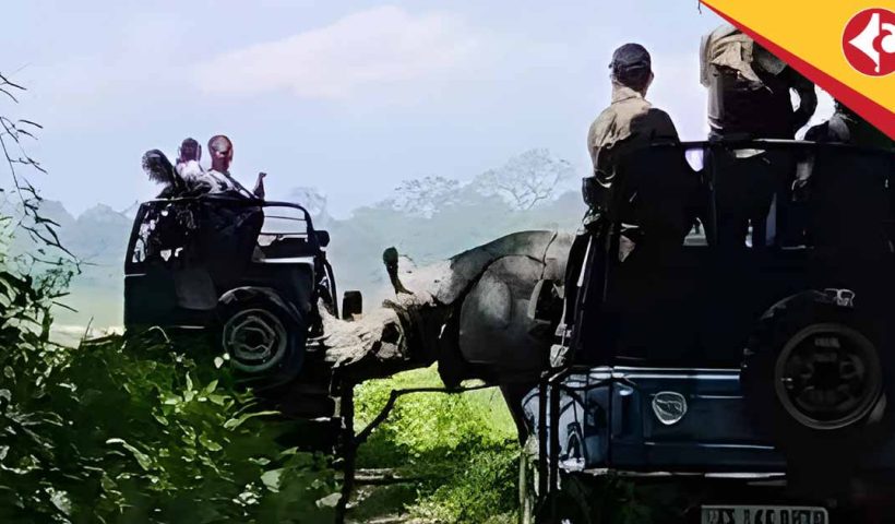 Rhino Charges at Tourists' Jeep in Assam's Manas National Park, Sparks Viral Video