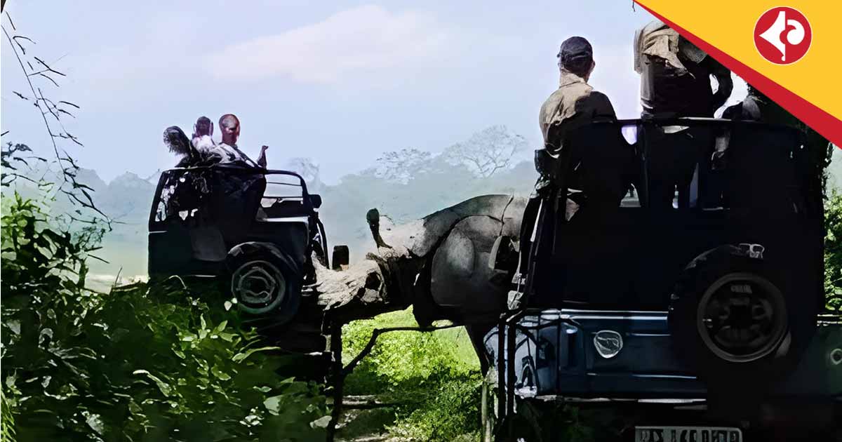 Rhino Charges at Tourists' Jeep in Assam's Manas National Park, Sparks Viral Video