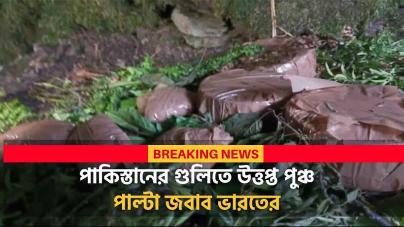 Terror Hideout Busted in Poonch