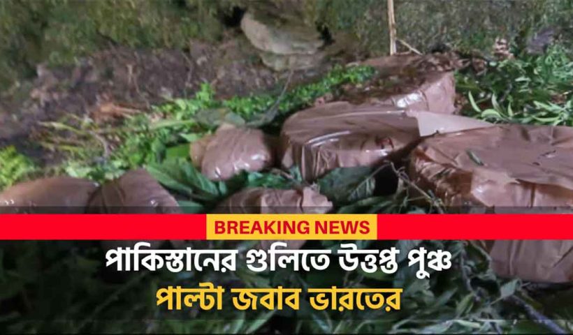 Terror Hideout Busted in Poonch