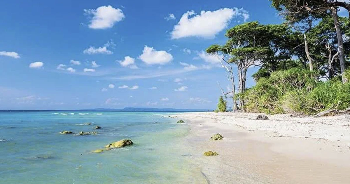 India Nears Guyana-Like Oil Jackpot: 2 Lakh Crore Liters Found in Andaman Waters