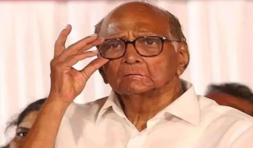 pawar slams shivsena
