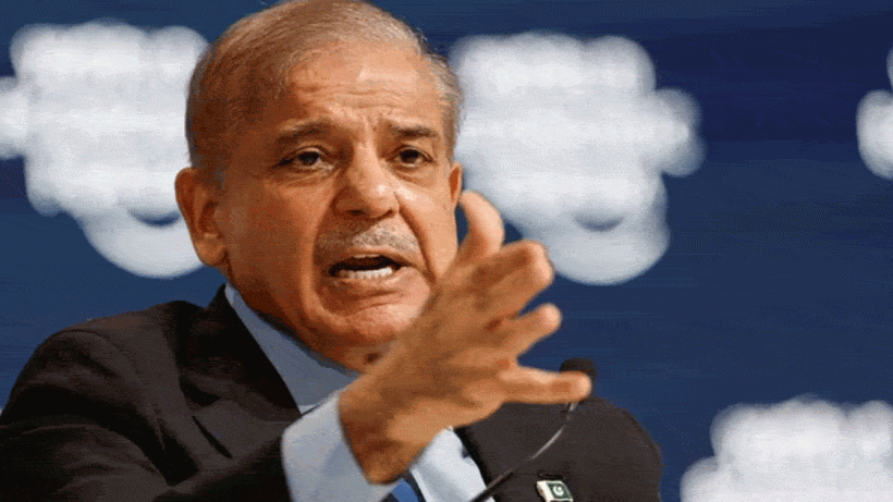 shehbaz-sharif gives reaction to india