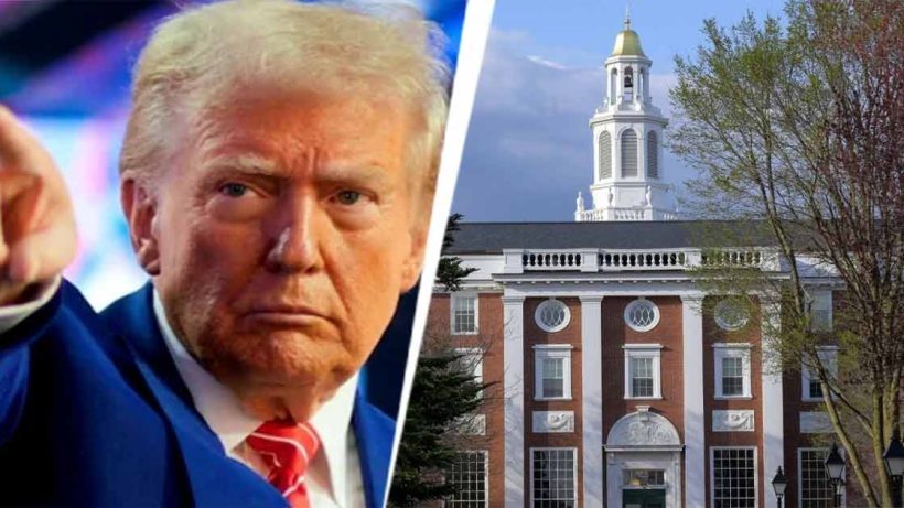 trump on harvard university