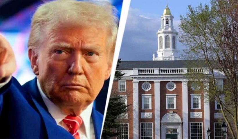 trump on harvard university