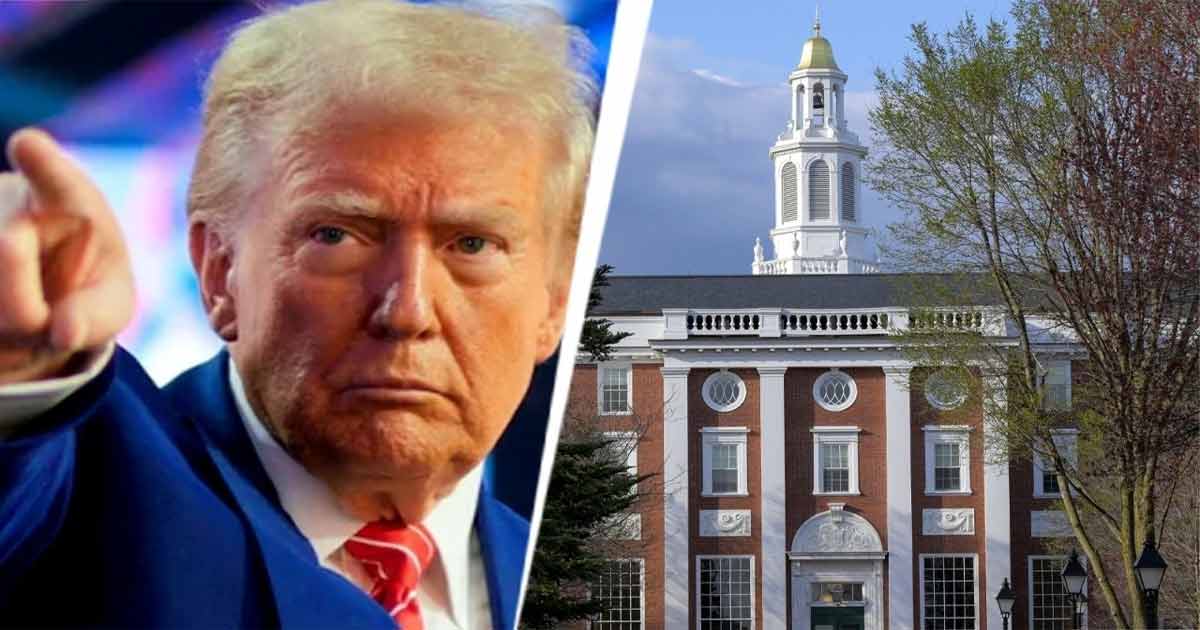 trump on harvard university