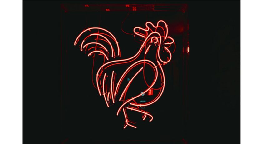 Chicken