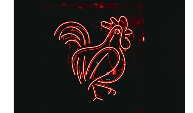 Chicken
