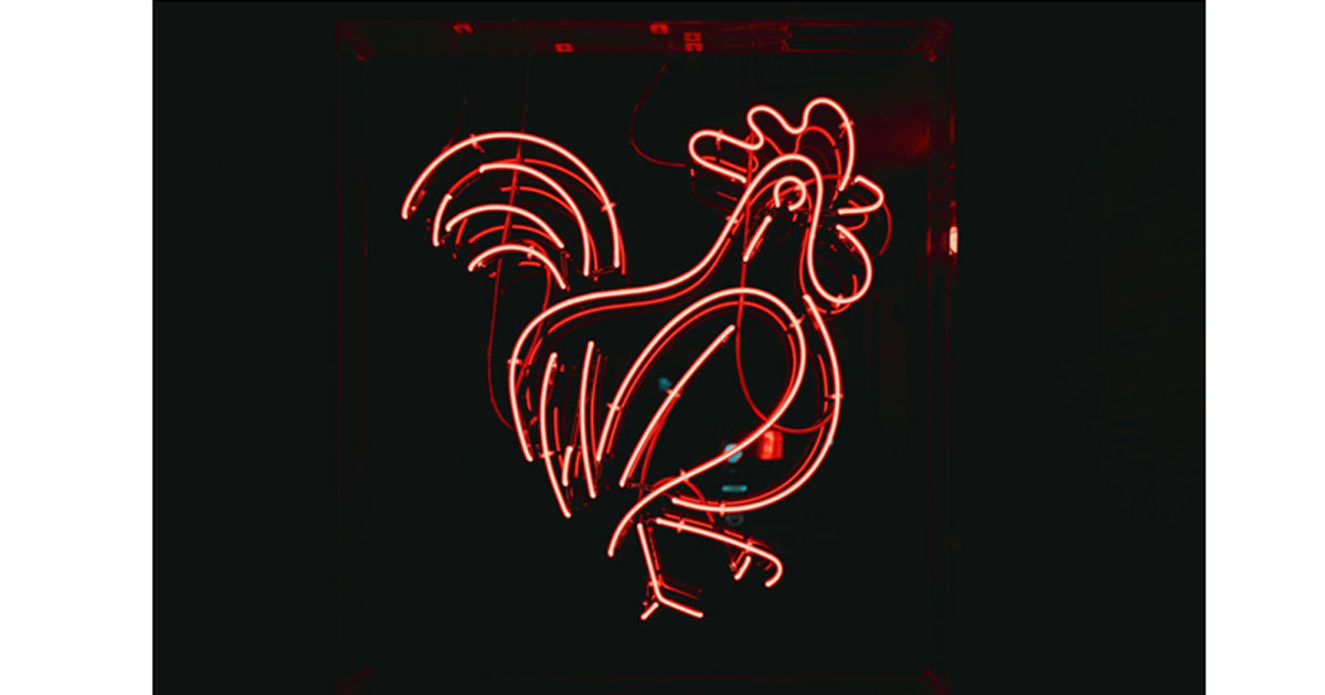 Chicken