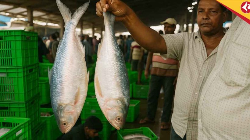 Plenty of Hilsa in Catch, Yet Market Prices Soar