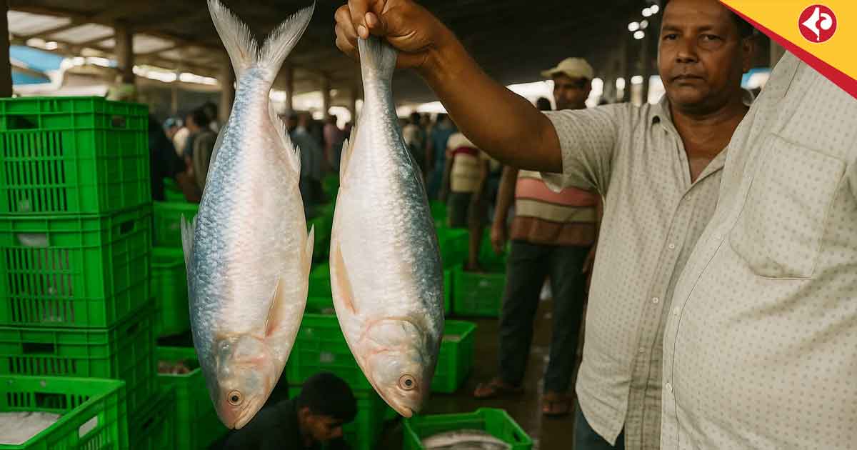 Plenty of Hilsa in Catch, Yet Market Prices Soar
