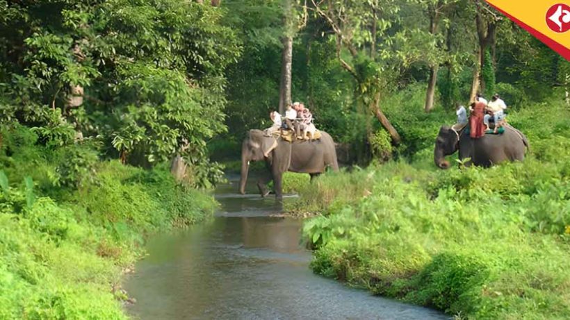 Duars monsoon tourism