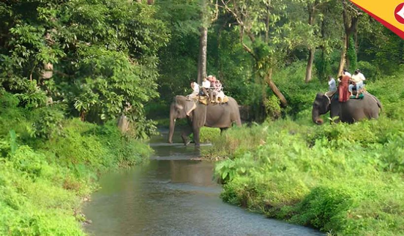 Duars monsoon tourism