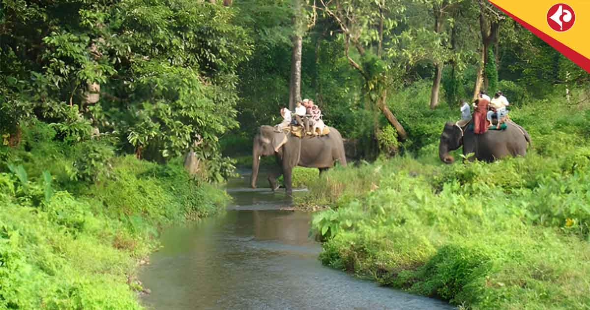 Duars monsoon tourism