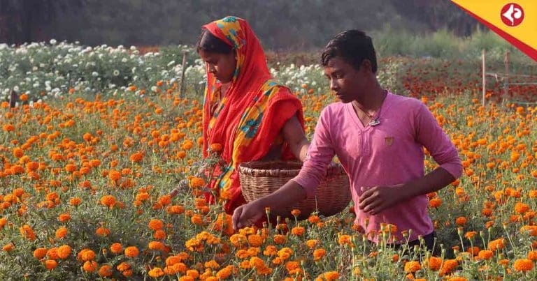Flower west midnapore