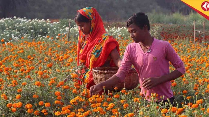 Flower west midnapore