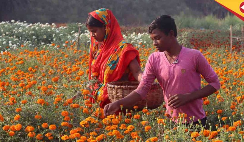 Flower west midnapore