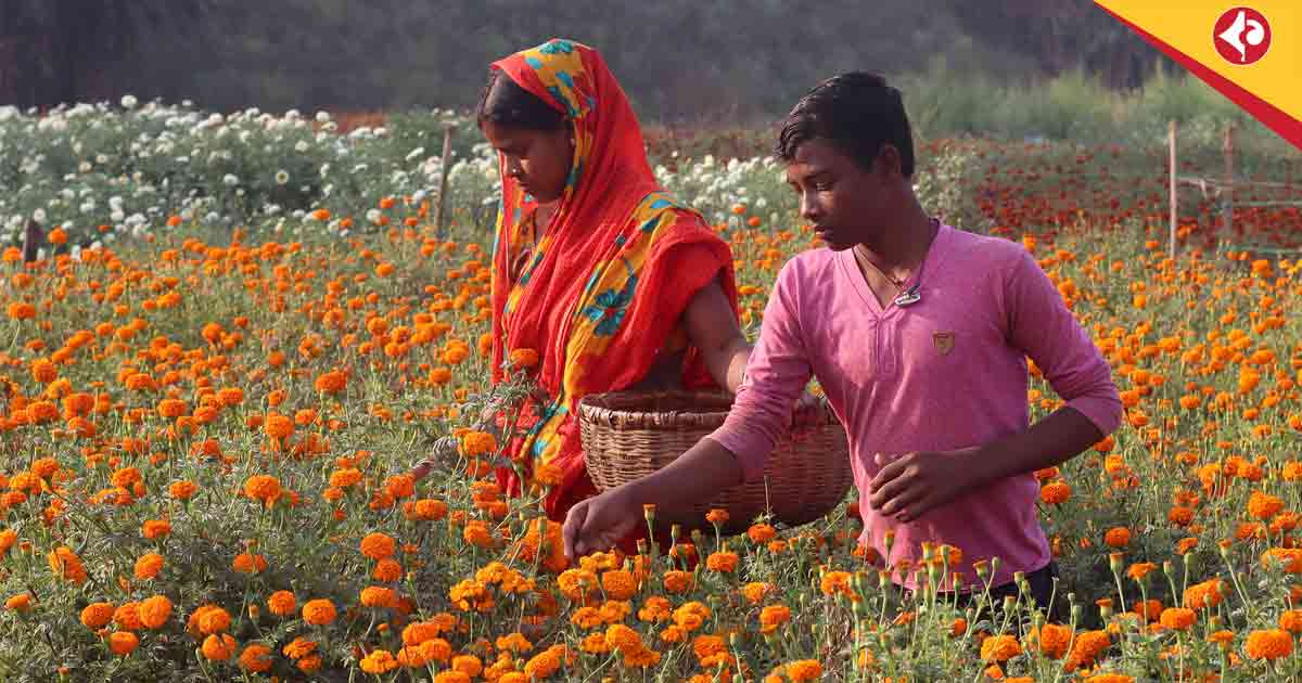 Flower west midnapore