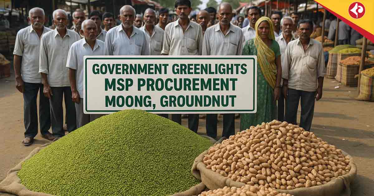 Government Greenlights MSP Procurement of Moong, Groundnut for 2025-26