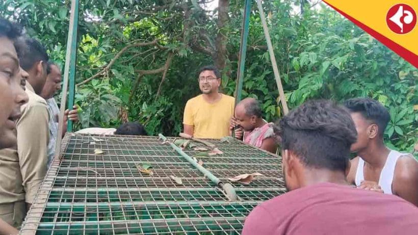 Leopard Scare Returns in Cooch Behar’s Ghughumari, Forest Department on Alert