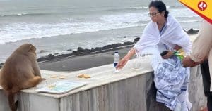 Mamata Banerjee Feeds Monkey at Digha Beach, Oversees Rath Yatra Preparations