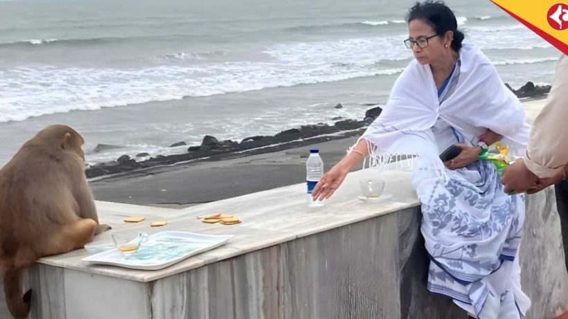 Mamata Banerjee Feeds Monkey at Digha Beach, Oversees Rath Yatra Preparations