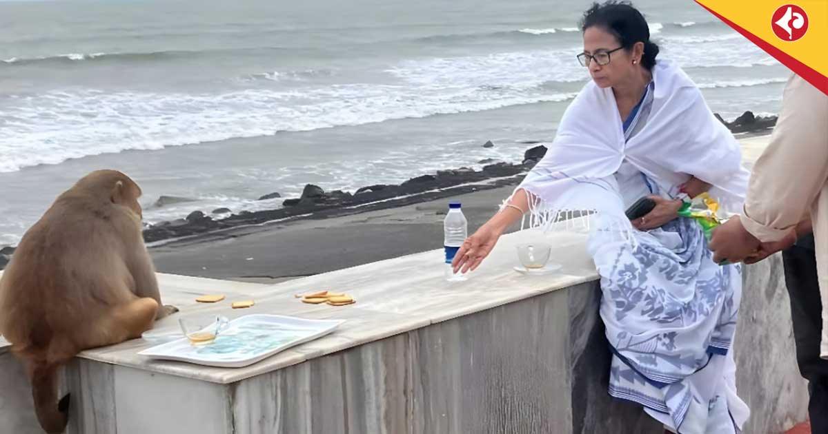 Mamata Banerjee Feeds Monkey at Digha Beach, Oversees Rath Yatra Preparations