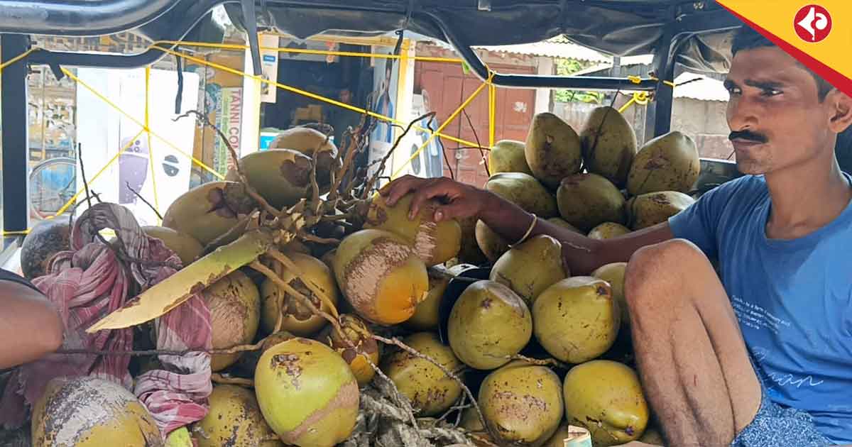 North Bengal Heatwave Boosts Coconut Water Sales, Brings Smiles to Vendors