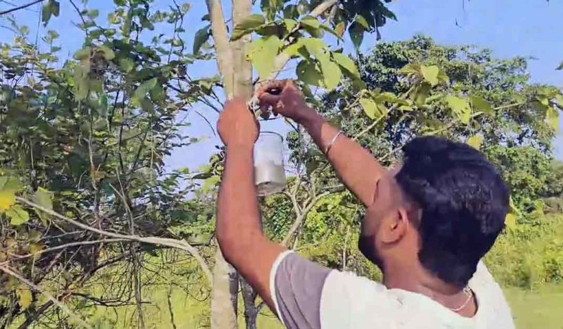 North Bengal KamakhyaguriVolunteers Provide Water for Birds Amid Heatwave