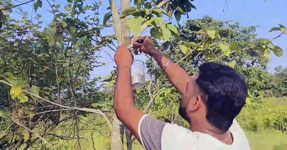 North Bengal KamakhyaguriVolunteers Provide Water for Birds Amid Heatwave