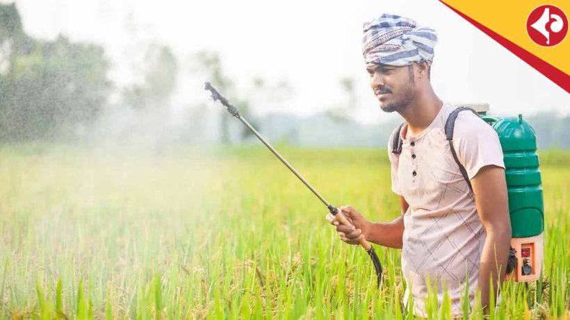 PMFBY Crop Insurance 2025