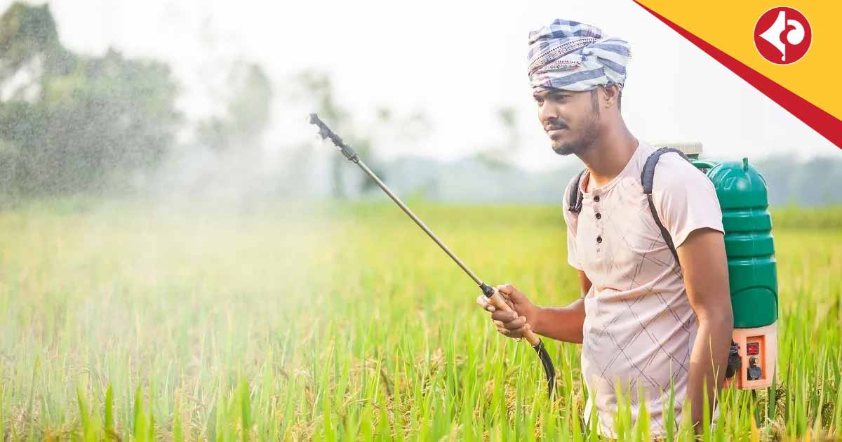 PMFBY Crop Insurance 2025