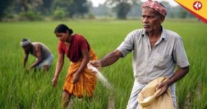 Rising Fertilizer Prices Threaten Indian Farmers’ Survival in 2025 Crisis