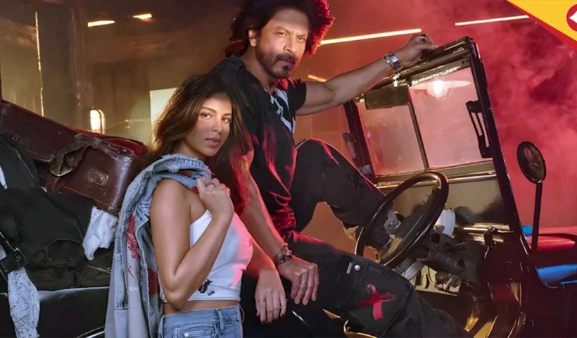Shah Rukh Khan Rejects Big-Budget Scripts in 2025