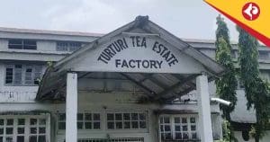 Turuturi Tea Estate Shuts Down