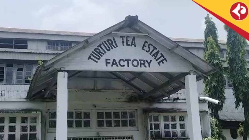 Turuturi Tea Estate Shuts Down