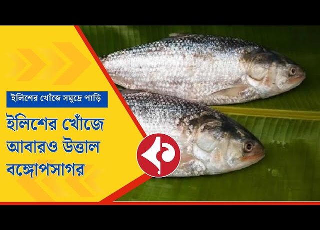 Thousands of Trawlers Set Sail for Hilsa After Ban Lifted