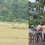 Latest News মূর্তিতে হাতির দেখা, নদীপাড়ে ভিড় পর্যটক–স্থানীয়দের